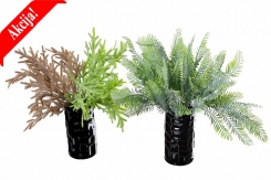 059 veštačke paprati